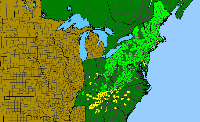 The range of Lilium canadense